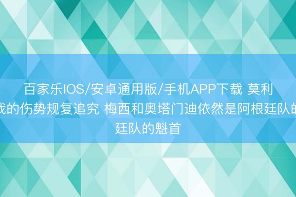 百家樂IOS/安卓通用版/手機APP下載 莫利納:我的傷勢規復追究 梅西和奧塔門迪依然是阿根廷隊的魁首